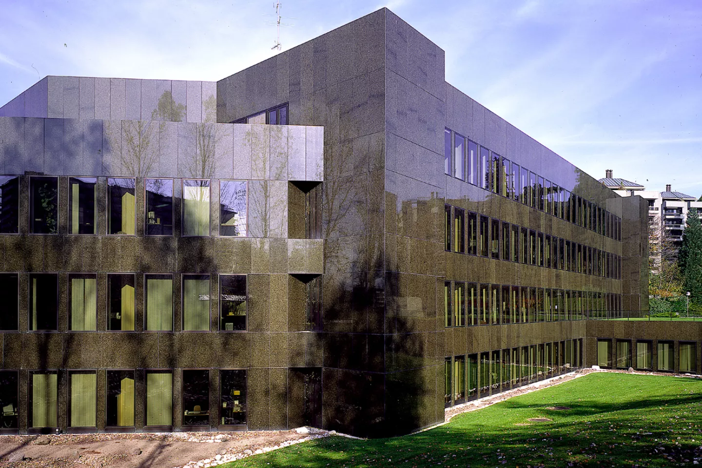 Caterpillar Overseas